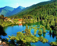 ��������׿�������