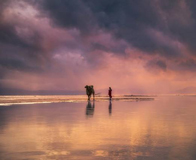 �迨���Ҽ��