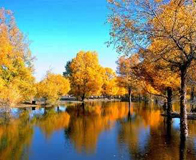 ����ɳĮ������