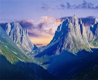 ����Ҷ��