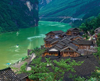 ��̲����