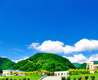 ����ɽɭ�ֹ�԰