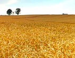 �ձ���ǰ������ �����㲻֪�����ձ�