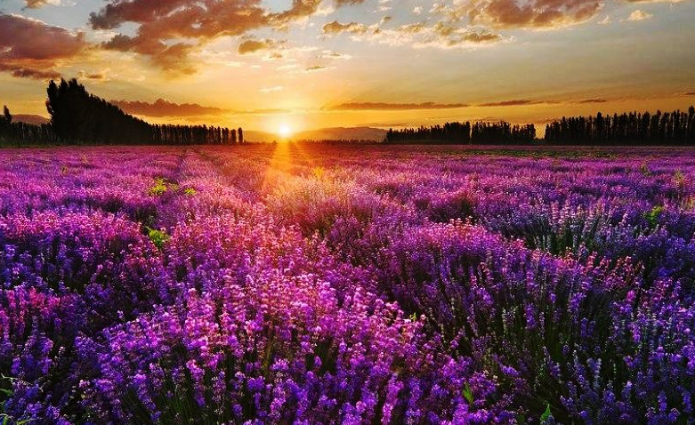 ������֮����