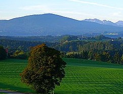 �¹����ι���