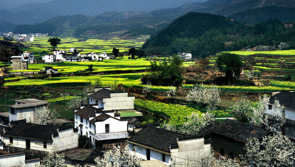 流年似锦、勿负春色——行走婺源,寻找一座消失的世界
