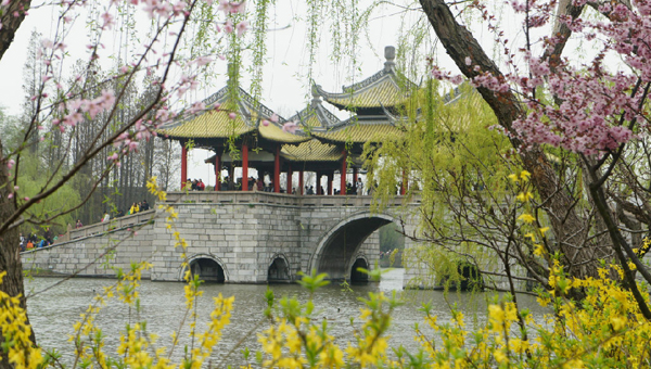 �̻����������ݡ����������ι���