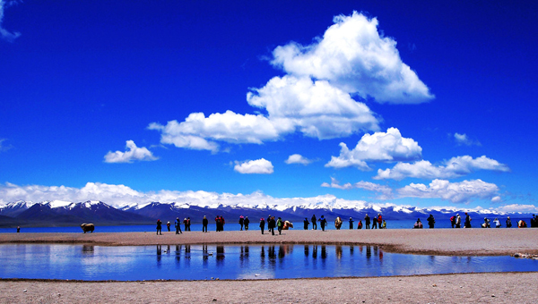 ������ľ��������ľ�����ι���