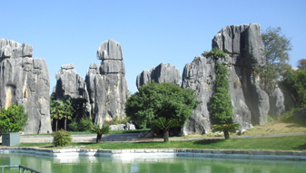 ����������֪