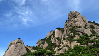 ���·����ι��� ���·����κ�ȥ��