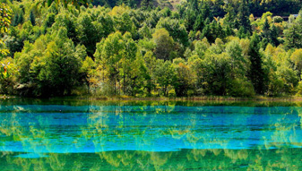 ��կ��ʮһ������·����