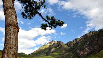 �����̩Ա��ұ�����������ĵ����