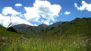 �ҵ���һ���ڣ�����������,�����μǹ���