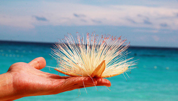 ˹�����������˼����õ�����