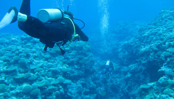 �ռ������ι��ԡ����ռ�����������ʲô