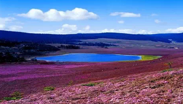 一起去云南寻找真正的世外桃源