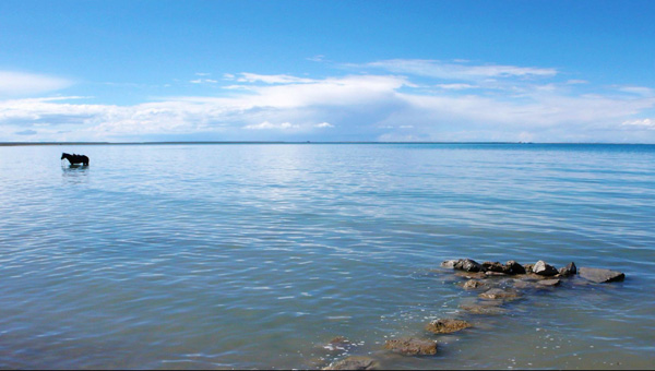 ��һ���κ�ȥ���Ƽ�