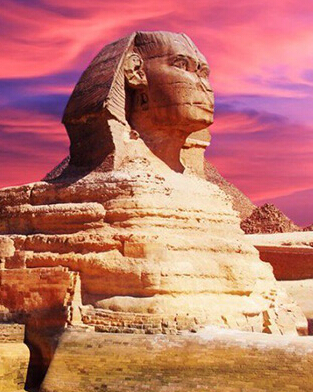 ��������ע������ �������ι���