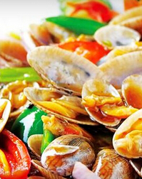 �麣�����_�麣����ֽ���_�麣��������ι���