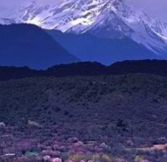 ���ν�ͨС֪ʶ|��������Ҫע�����Щ��