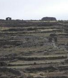 ��³�������ʱ�� ��³���ι���