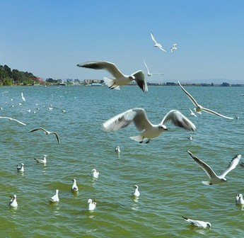 ���ϵ�����ι���_����������ʱ��