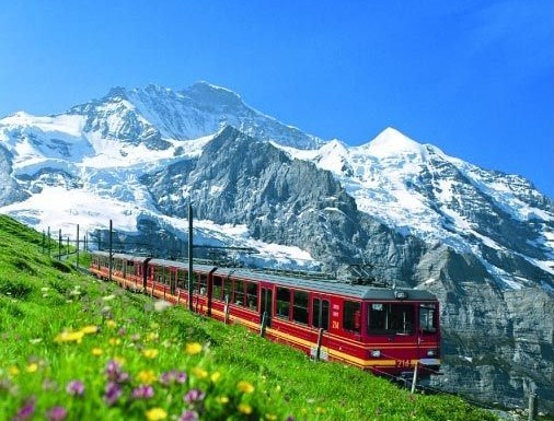 ȥ��ʿ����