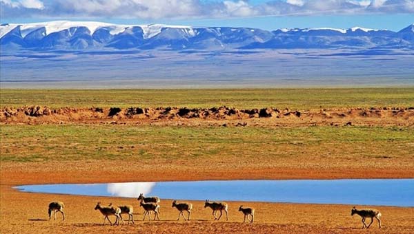 �������ĳ�ͷ����ô�����ǵ��ֺ�����úܣ������������ر�ĸɾ����� ����from���ɿ����