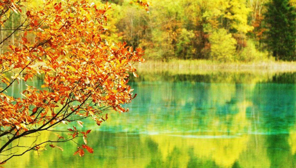 ����������ȥ����á����������κ�ȥ��