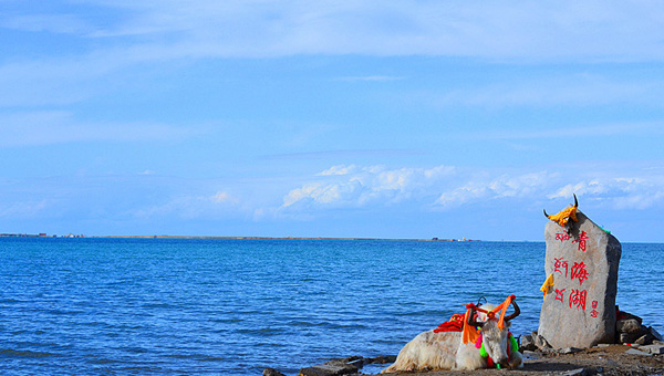 �ļ�����ȥ����á����·����κ�ȥ�����ļ����ι���