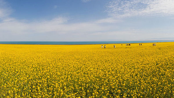 �ļ������Ƽ�������ȥ����ø����̩�������Ƽ���·