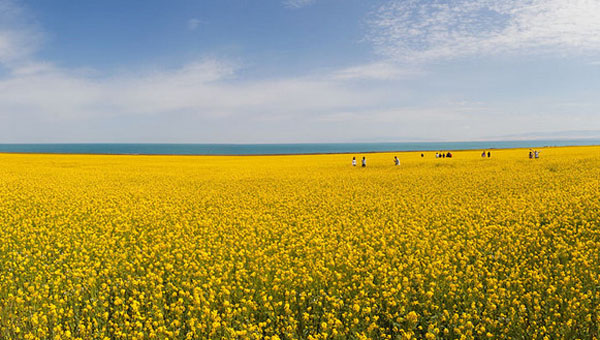 ���·��ʺ�ȥ�����Ρ��ļ����κ�ȥ��