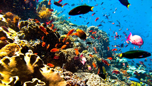 五月份旅游去哪里好、五一旅游最佳去处、五一去哪里旅游