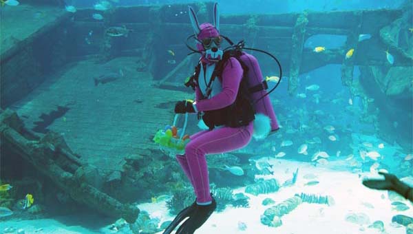 Ǳˮ�ø��������S.E.A.�����ϲӭ�ο�