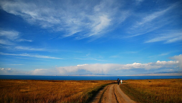 ���������ȥ����á���������κ�ȥ��