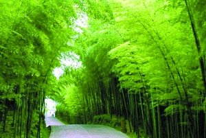 ���������Ρ������� �������������