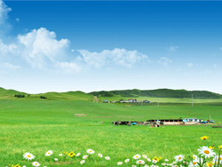 ���ɹ�ݯ�������ʢ��