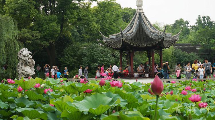 �Ϻ�����˯��չ�ӳ�һ�ܳ�չ ��չ���ӳٵ�8��11��