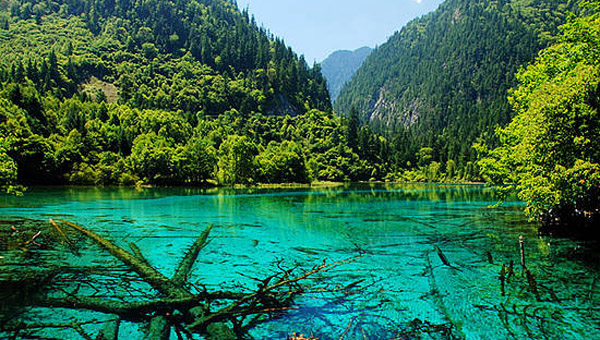 秋天最佳旅游景色推荐