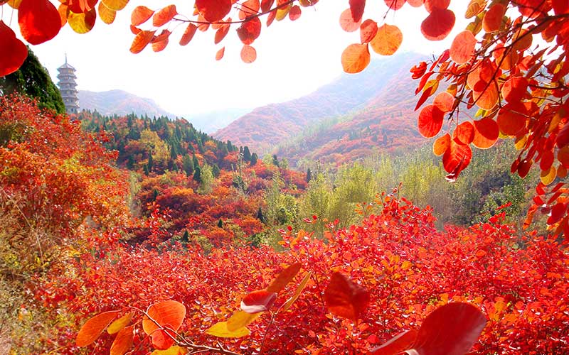 2014�����ƽ���Ԥ�ƽӴ�4.8���˴�