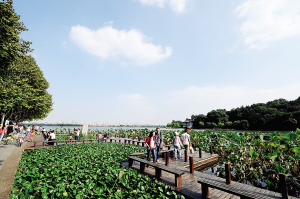 ��������PM2.5Ũ�ȸ� �йز���������߾�������׼���ż�