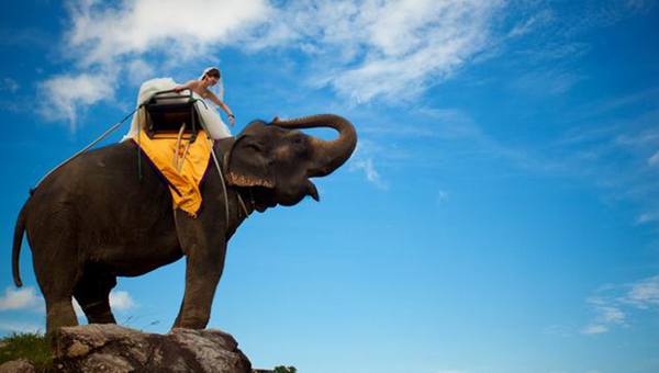 ̩������Ҫ������Ǯ��̩����������Щ����