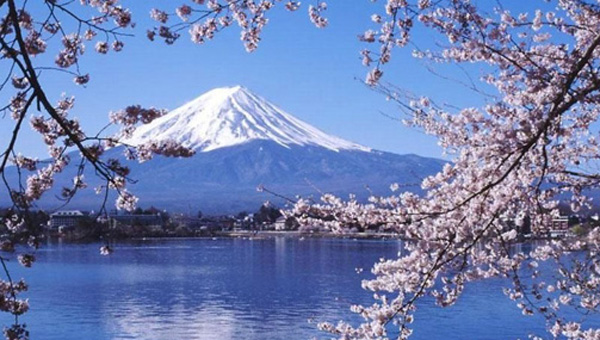 �ձ����ξ����Ƽ�