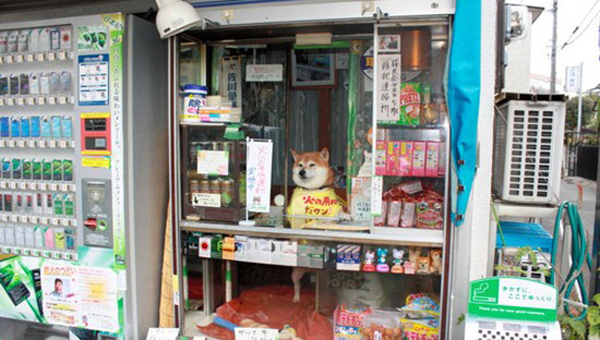 �ձ�6���Ȯ�����˿��������̸��ο�