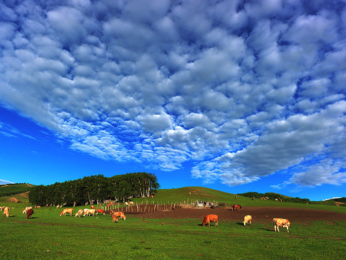 ����������������ڡ��³�̬��