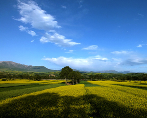 �ຣ���������ڶ�����ԭ��ɫ���� �������ױ��������ο�