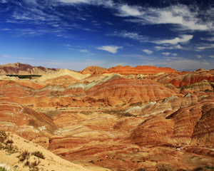 ������Ҵ���β�ҵ������������׶�