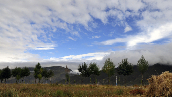 �����ؽ��ϡ�����������̬������