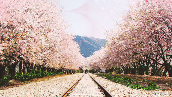 ������������3����˳��й��ο͹��״�