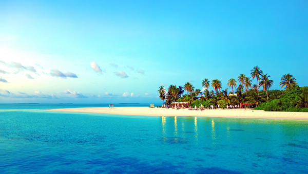 2015�괺�ڳ������Ƽ�